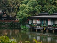 -荔湾湖公园