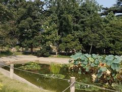 -国家植物园南园