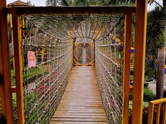 -美的鹭湖探索王国