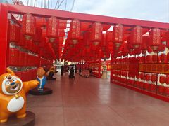 -青岛方特梦幻王国