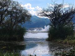 -大理洱源西湖景区