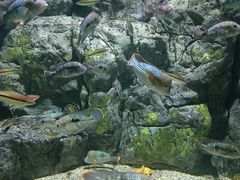 -长沙海底世界