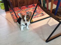 -艾蜜西餐厅(梅园店)