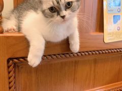 -佳雯宠物医院(金华南路分院)