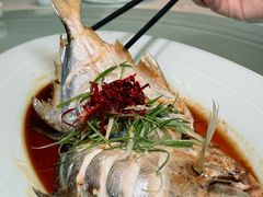 -渔娘渔家丹东海鲜(东直门店)