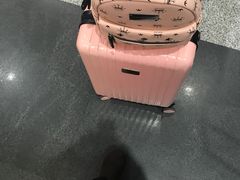 -芽庄中心购物广场