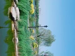 -水西公园