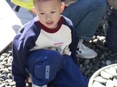 -杭州龙井幼儿园