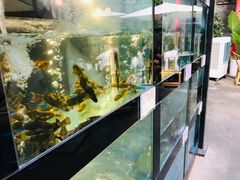 水产区-院8里·少城记忆老川菜(宽窄巷子店)