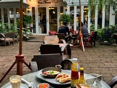 -Fern Forest Cafe