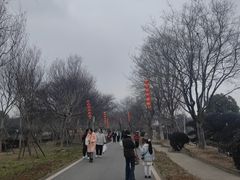 -武汉紫薇都市田园