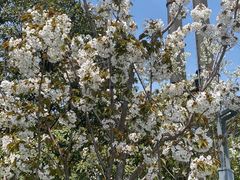 -吴淞炮台湾湿地森林公园烧烤区