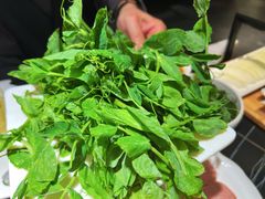 -蜀九香火锅(彩虹店)