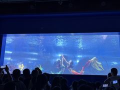 -重庆欢乐海底世界
