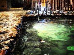 -龙熙温泉水世界