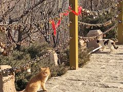 -南翠屏公园