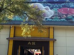 -山东柏宁水族批发广场