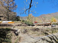 -塔川景区