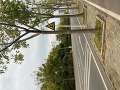 -青龙山国家森林公园