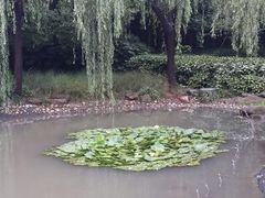 android_upload_pic-苏州河梦清园环保主题公园