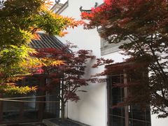 -黄山悦榕庄明月白云餐厅