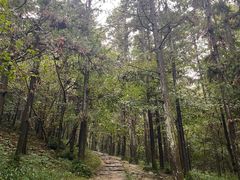 -冶父山国家森林公园