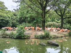 -上海野生动物园