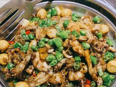 青椒紫苏牛蛙锅-蛙小侠(卓悦里店)