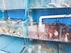 水产区-蟹谢蒸鲜自助餐厅