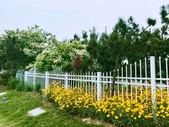 -阳光海岸露营公园