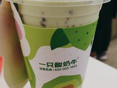 -一只酸奶牛(春熙路店)