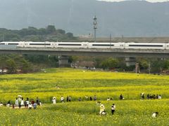 -光明小镇欢乐田园