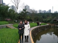 -龙头寺公园