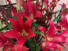 -旺顺阁·北京菜(北辰上品+)