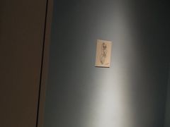 -Xcape异时刻密室逃脱魔法互动(瑞虹天地太阳宫店)