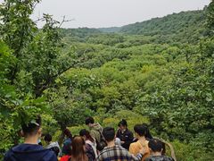-大青沟风景区