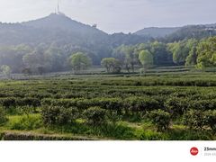 -灵隐飞来峰景区