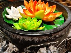-老江南春·中国龙菜(衡山路店)