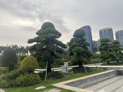 -顺峰山公园