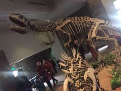 -自贡恐龙博物馆