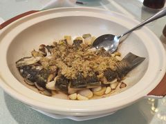 -龙悦湾酒家·八阵鱼生·渔人码头店