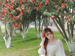 -艾溪湖湿地公园