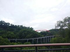 -金鸡山公园