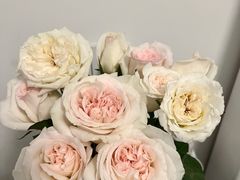 -循礼门鲜花花市(武汉循礼门店)