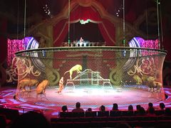 -珠海横琴长隆《卡卡虎奇遇记》