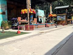-呀路古热带植物园