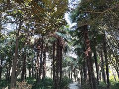 -上海滨江森林公园