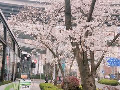-上海南浦大桥长途旅游客运站