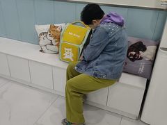 -纳吉亚猫专科动物诊疗中心(蒋宅口分院)
