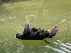 -春风习习